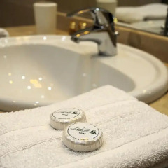 Отель Lopota Lake Resort & Spa 4* Стандартный номер с различными типами кроватей фото 4