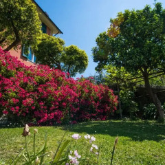 Отель Le Clementine B&B Камогли фото 6