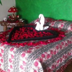 Hotel La Casa de Nery Луизиана Ceiba с домашними животными