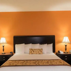 Red Lion Hotel Oakland International Airport 3* Стандартный номер с различными типами кроватей фото 4