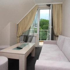 Family Hotel Diana Апартаменты с различными типами кроватей фото 4