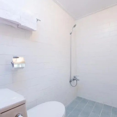 Hotel Gaon Seoul Dongdaemun 2* Стандартный номер с различными типами кроватей фото 6