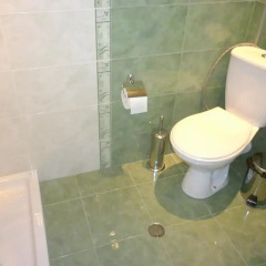 Отель Borani Guest House Болгария, Ардино - отзывы, цены и фото номеров - забронировать отель Borani Guest House онлайн ванная