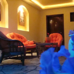 Hotel Petunia 3* Стандартный номер с разными типами кроватей фото 3
