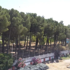 Etap Altinel Canakkale Турция, Гузеляли - отзывы, цены и фото номеров - забронировать отель Etap Altinel Canakkale онлайн фото 2