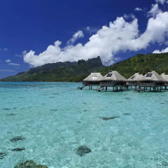 Отель Hilton Moorea Lagoon Resort and Spa 5* Бунгало Премиум с различными типами кроватей фото 6