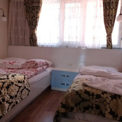 Отель Tulip Guesthouse 2* Стандартный номер с различными типами кроватей