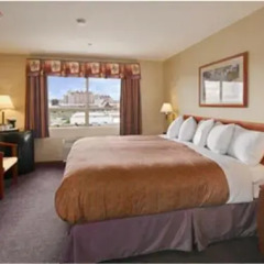 Отель Days Inn Vancouver Airport Канада, Ричмонд - отзывы, цены и фото номеров - забронировать отель Days Inn Vancouver Airport онлайн комната для гостей фото 4