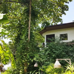 Отель Birds & Bees Resort 3* Номер Делюкс с различными типами кроватей фото 7