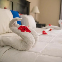The MT Hotel 3* Стандартный номер с различными типами кроватей фото 16