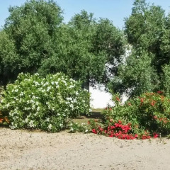 Отель Holiday home Cuesta de la Rosa I