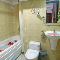 Gold Dream Hotel 3* Стандартный номер фото 7