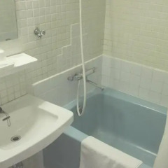 Tokushima Station Hotel Минамиавадзи ванная