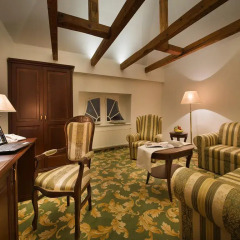 Отель EA Hotel Elefant Чехия, Карловы Вары - отзывы, цены и фото номеров - забронировать отель EA Hotel Elefant онлайн развлечения
