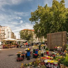Отель Apartamento en Olmo-Antón Martín