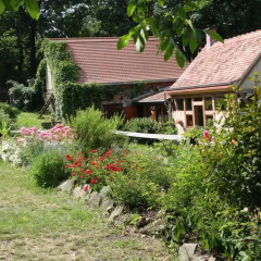 Отель Poncet´sches Herrenhaus Германия, Дрезден - отзывы, цены и фото номеров - забронировать отель Poncet´sches Herrenhaus онлайн фото 3