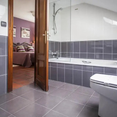 Hotel La Boriza 3* Стандартный номер с различными типами кроватей фото 22