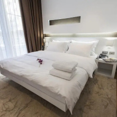 Prestige Hotel Tirana 4* Стандартный номер с различными типами кроватей