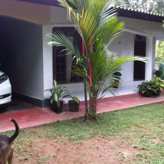 Отель Summer Guesthouse парковка