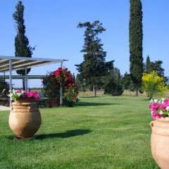Отель Guadalupe Tuscany Resort фото 2