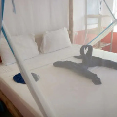 Отель Blue Reef Sport and Fishing Lodge & Bungalows 3* Стандартный номер с различными типами кроватей фото 2