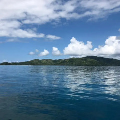 Отель Taveuni Palms Resort - All Inclusive Фиджи, Остров Тавеуни - отзывы, цены и фото номеров - забронировать отель Taveuni Palms Resort - All Inclusive онлайн пляж