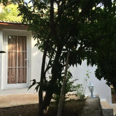 Отель Butterfly Guest House Стандартный номер