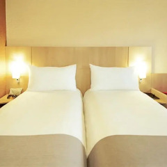 Отель ibis Paris Porte d'Orléans 3* Стандартный номер с различными типами кроватей фото 4
