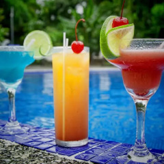 Отель Chachagua Rainforest Ecolodge гостиничный бар