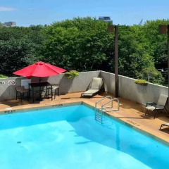 Отель Best Western Primrose Hotel Downtown Канада, Торонто - отзывы, цены и фото номеров - забронировать отель Best Western Primrose Hotel Downtown онлайн бассейн фото 2