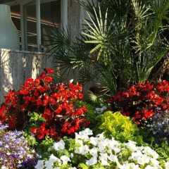 Hotel Millor Sun фото 5