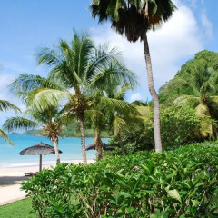 Tamarind Beach Hotel & Yacht Club 4* Стандартный номер с различными типами кроватей фото 2