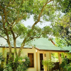 Отель The Green Beach Resort 3* Вилла Делюкс с различными типами кроватей фото 12