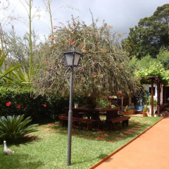 Отель Vila Gama фото 7