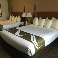 Отель Quality Inn комната для гостей