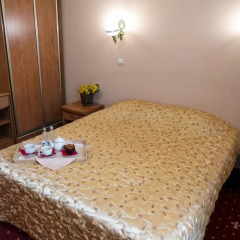 Гостиница Аристоль Стандартный номер с различными типами кроватей фото 12