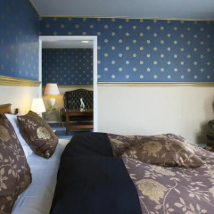 Milling Hotel Plaza комната для гостей фото 3