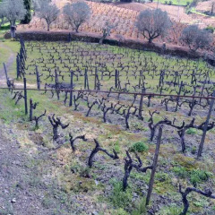 Отель Quinta do Fôjo спортивное сооружение