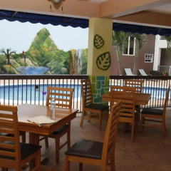 Отель Apart Hotel Pico Bonito Гондурас, Луизиана Ceiba - отзывы, цены и фото номеров - забронировать отель Apart Hotel Pico Bonito онлайн балкон