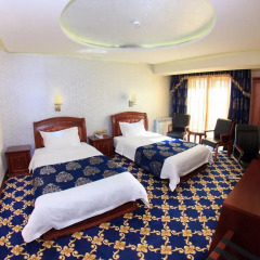 Отель Cron Palace Tbilisi 4* Стандартный номер фото 3