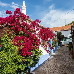 Отель AlvorMar Apartamentos Turisticos Портимао фото 4