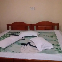 Отель Hill View Guest Inn детские мероприятия
