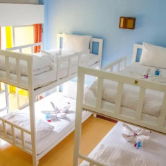 Отель B & L Guesthouse 3* Стандартный номер с разными типами кроватей фото 16