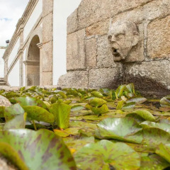 Отель Casa de Quintã Португалия, Синфайнш - отзывы, цены и фото номеров - забронировать отель Casa de Quintã онлайн фото 3