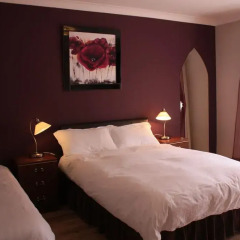The Madonna Halley Hotel 2* Стандартный номер