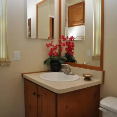 Отель Las Vegas Camping Resort Cabin 4 США, Лас-Вегас - отзывы, цены и фото номеров - забронировать отель Las Vegas Camping Resort Cabin 4 онлайн ванная