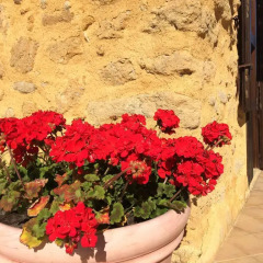 Отель Il Giardino di Athena Италия, Агридженто - отзывы, цены и фото номеров - забронировать отель Il Giardino di Athena онлайн фото 10