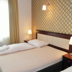 Elen's Hotel Arlington Prague комната для гостей фото 3