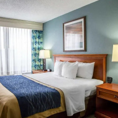 Отель Comfort Inn On the Ocean 3* Стандартный номер с различными типами кроватей фото 5