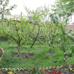 Отель Artush & Raisa B&B Армения, Гюмри - отзывы, цены и фото номеров - забронировать отель Artush & Raisa B&B онлайн фото 7